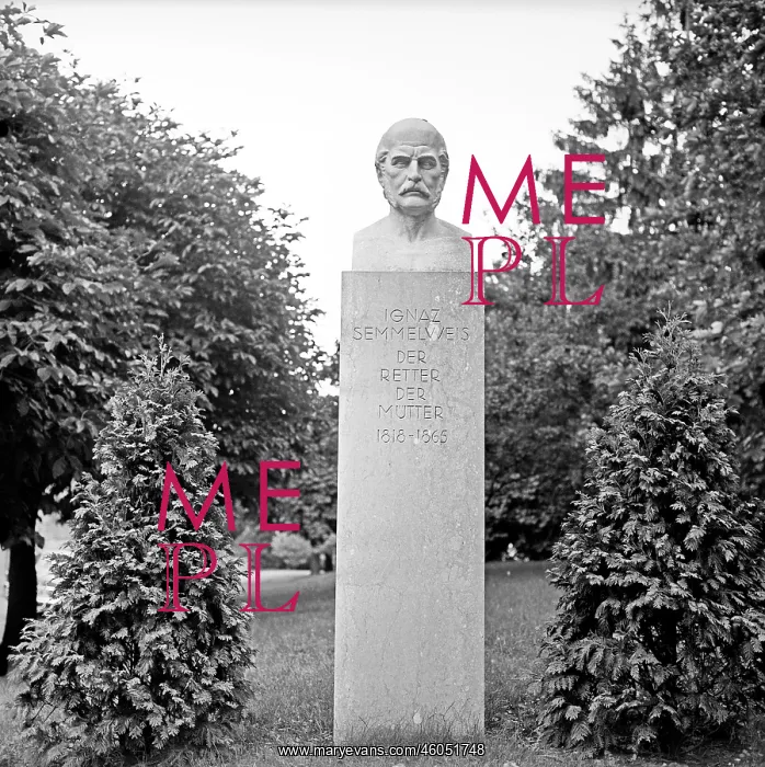 : Monument for Ignaz Semmelweis : Monument for Ignaz Semmelweis
