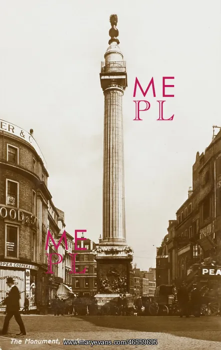 : The Monument, London : The Monument, London