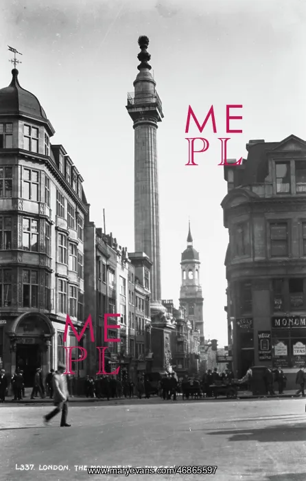: The Monument in London : The Monument in London