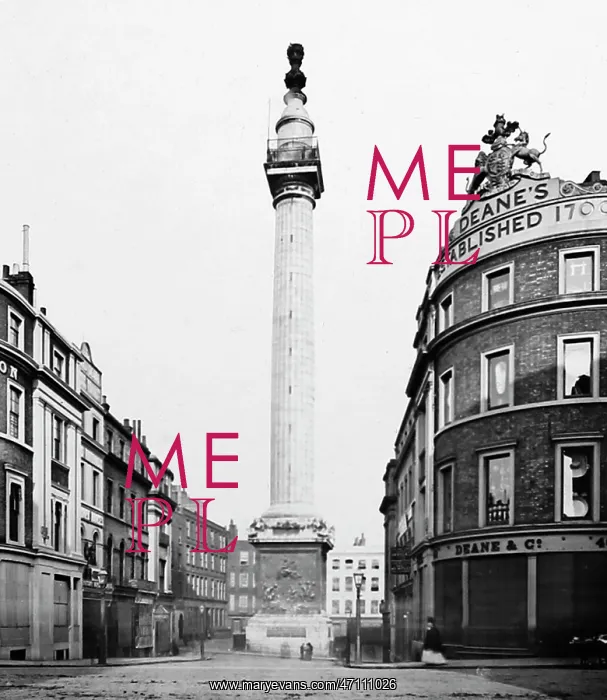 : The Monument, London, Victorian period : The Monument, London, Victorian period