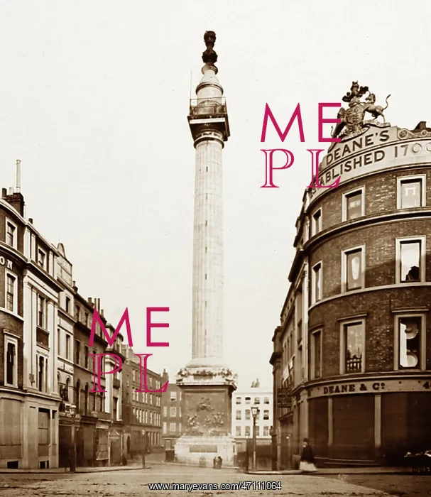 : The Monument, London, Victorian period : The Monument, London, Victorian period