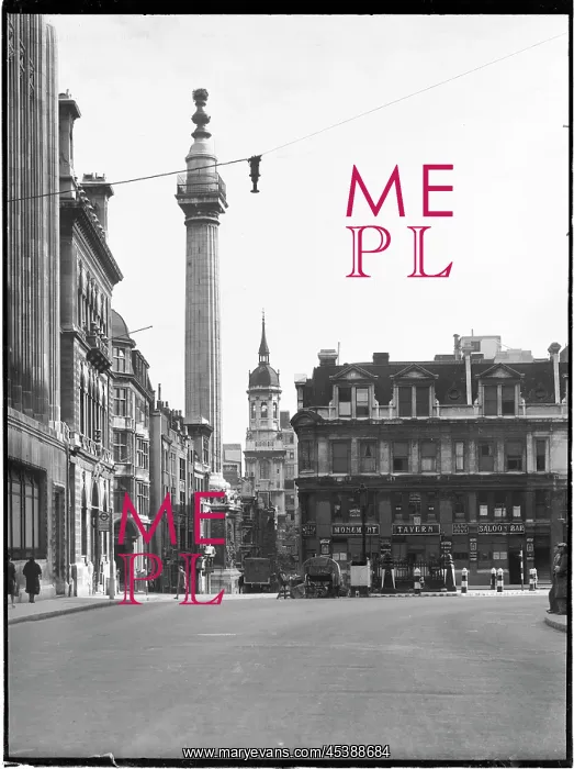 : The Monument, Monument Street, London : The Monument, Monument Street, London