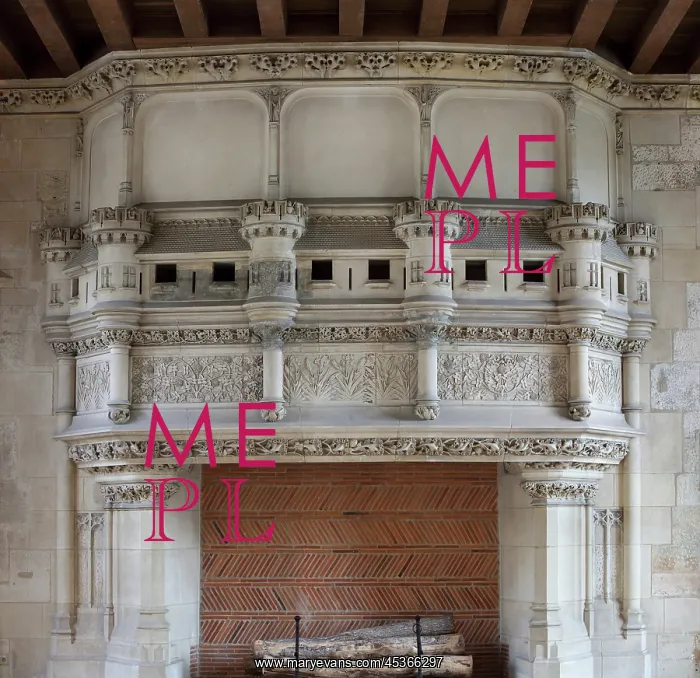 : Monumental fireplace, Palais Jacques Coeur, Bourges, France : Monumental fireplace, Palais Jacques Coeur, Bourges, France