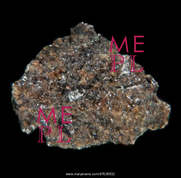 : Moon rock fragment : Moon rock fragment