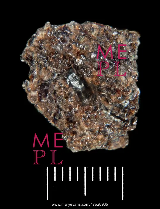 : Moon rock fragment : Moon rock fragment