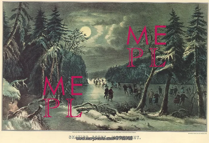  : Moonlight Skaters