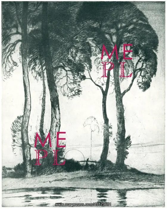: Moonrise. A landscape etching of some tall, slender trees standing upon : Moonrise. A landscape etching of some tall, slender trees standing upon