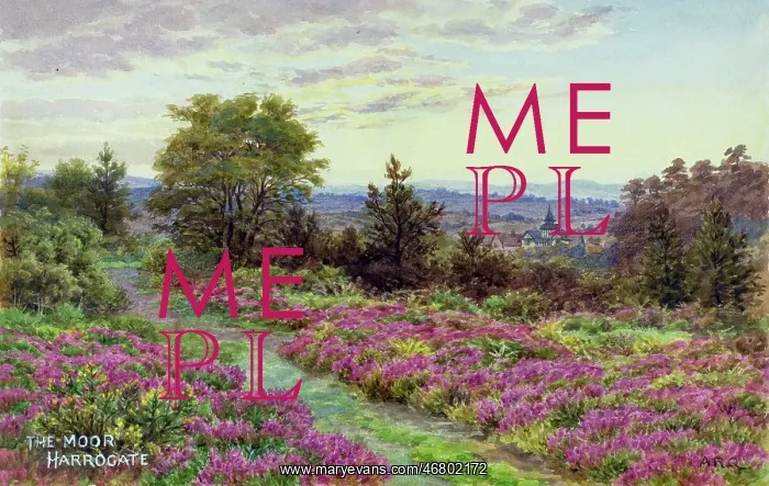: The Moor, Harrogate, North Yorkshire : The Moor, Harrogate, North Yorkshire
