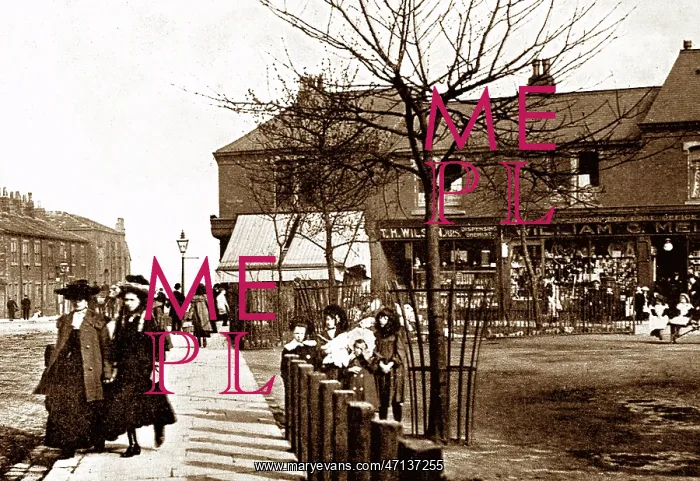  : Moor Top, Armley, early 1900s