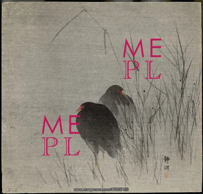: Two moorhens- Japanese print : Two moorhens- Japanese print