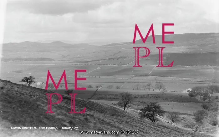 : The Moors near Skipton : The Moors near Skipton