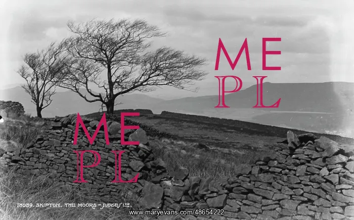 : The Moors of Skipton : The Moors of Skipton