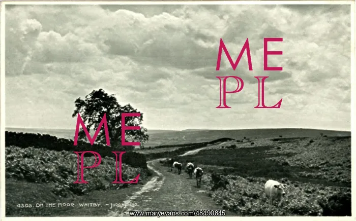 : The Moors, Whitby, Yorkshire : The Moors, Whitby, Yorkshire