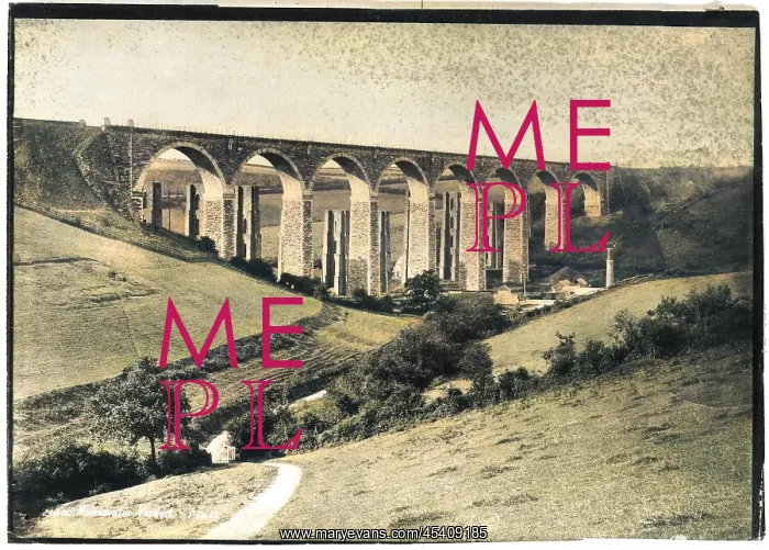  : Moorswater viaduct, Cornwall