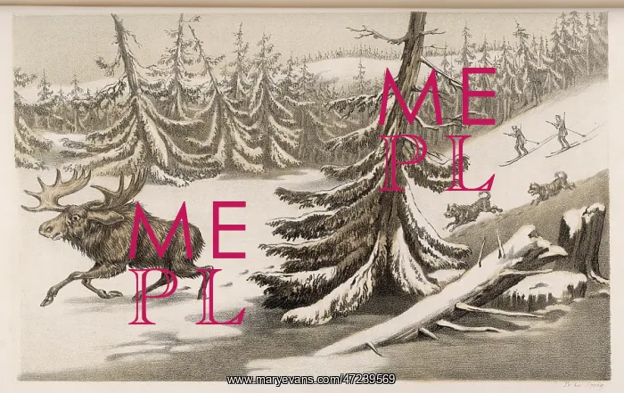  : MOOSE / ELK SWEDEN 1855