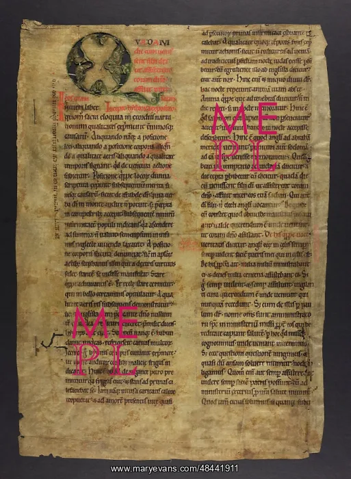 : Moralia in Job (Fragments) : Moralia in Job (Fragments)