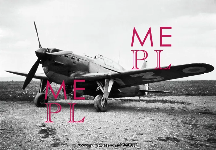 : Morane Saulnier MS-405 : Morane Saulnier MS-405