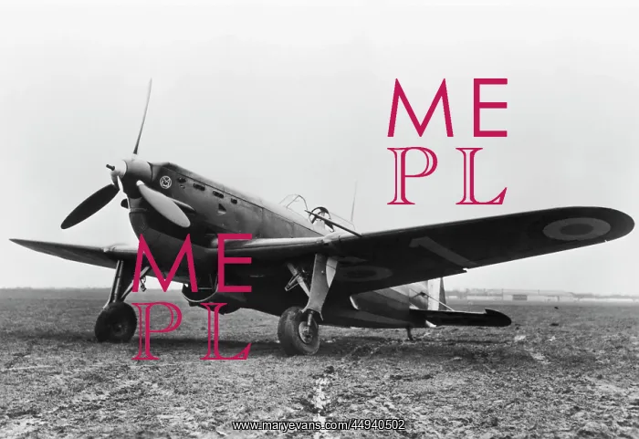 : Morane Saulnier MS-405C1 : Morane Saulnier MS-405C1