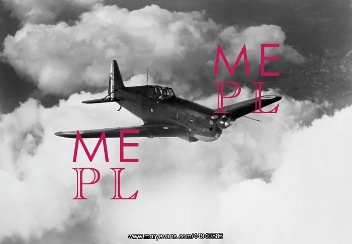 : Morane Saulnier MS-405C1 : Morane Saulnier MS-405C1
