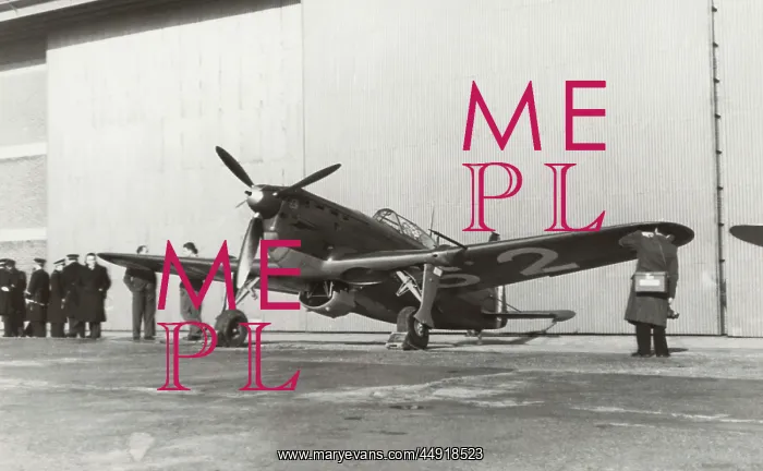 : Morane-Saulnier MS-406 : Morane-Saulnier MS-406