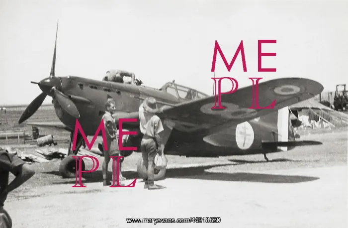 : Morane-Saulnier MS-406 : Morane-Saulnier MS-406