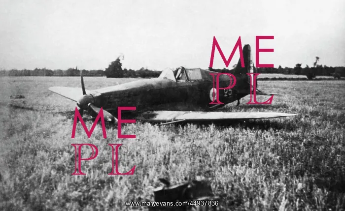 : Morane Saulnier MS-406 : Morane Saulnier MS-406