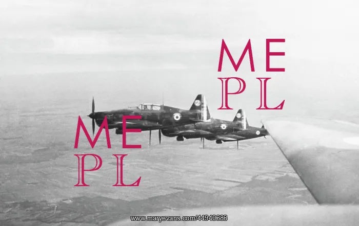 : Morane Saulnier MS-406 : Morane Saulnier MS-406