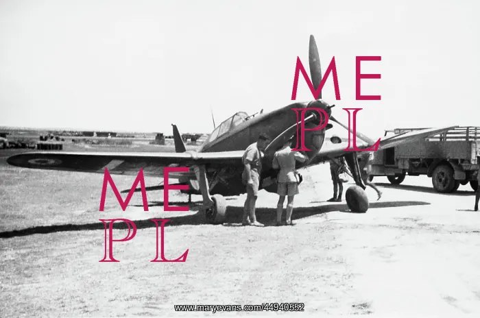 : Morane Saulnier MS-406 : Morane Saulnier MS-406