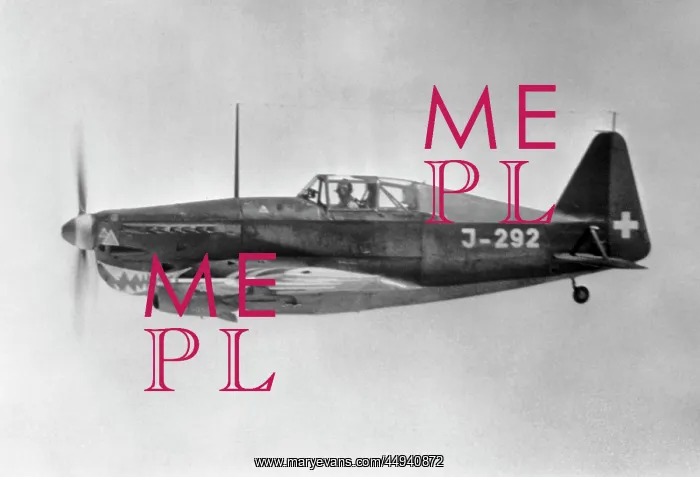 : Morane Saulnier MS-406 : Morane Saulnier MS-406