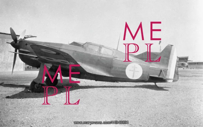 : Morane Saulnier MS-406 : Morane Saulnier MS-406