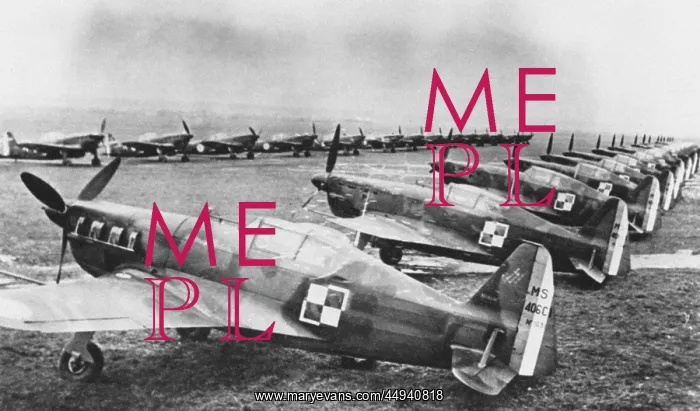 : Morane-Saulnier MS-406C1 : Morane-Saulnier MS-406C1