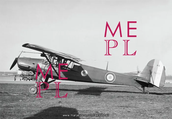 : Morane-Saulnier MS-500 Cricquet : Morane-Saulnier MS-500 Cricquet