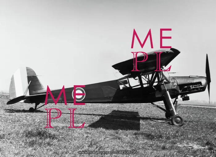 : Morane-Saulnier MS-500 Cricquet : Morane-Saulnier MS-500 Cricquet