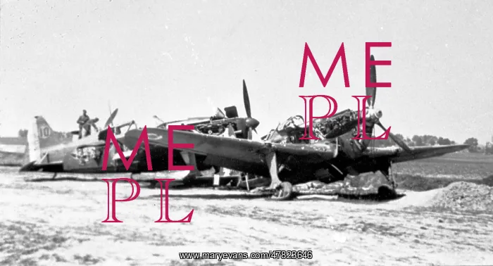 : Morane-Saulnier MS.406 C.1 fighters : Morane-Saulnier MS.406 C.1 fighters