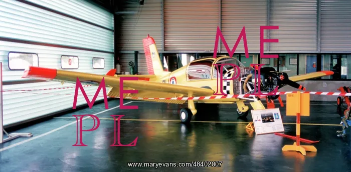 : Morane-Saulnier MS.880 Rallye of CEPA / 10.S : Morane-Saulnier MS.880 Rallye of CEPA / 10.S