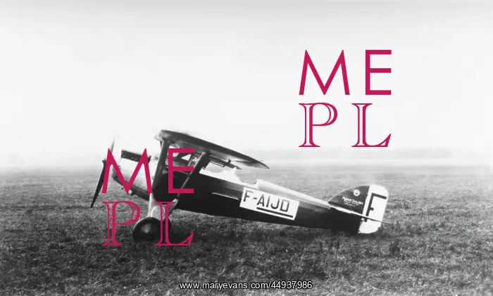  : Morane-Soulnier Ms-129 Parasol Parked