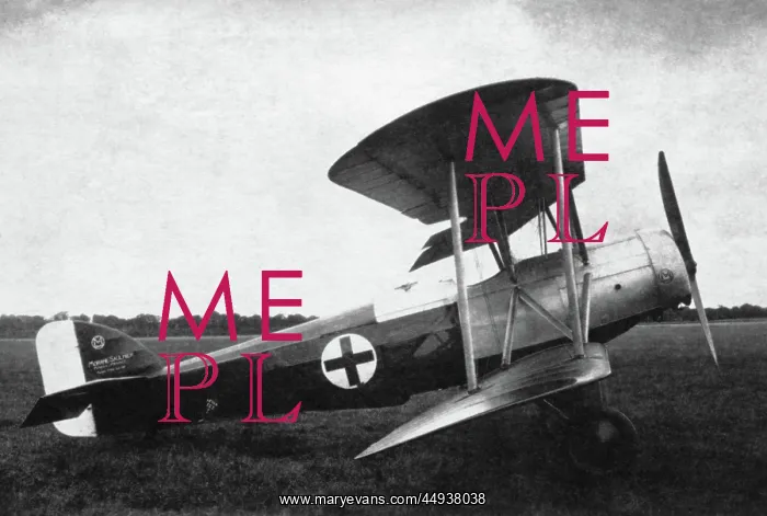  : Morane-Soulnier Ms-140 Biplane Parked