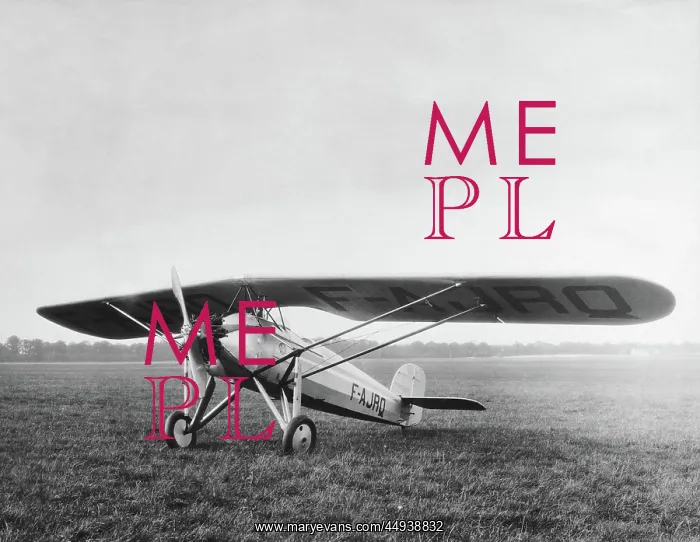  : Morane-Soulnier Ms-185 Parasol Parked