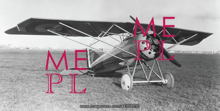 : Morane-Soulnier Ms-30E1 Parasol During WW1 : Morane-Soulnier Ms-30E1 Parasol During WW1