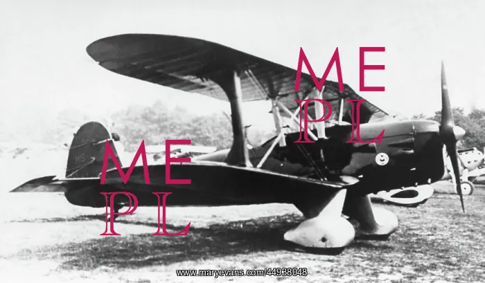  : Morane-Soulnier Ms-350 Biplane Parked