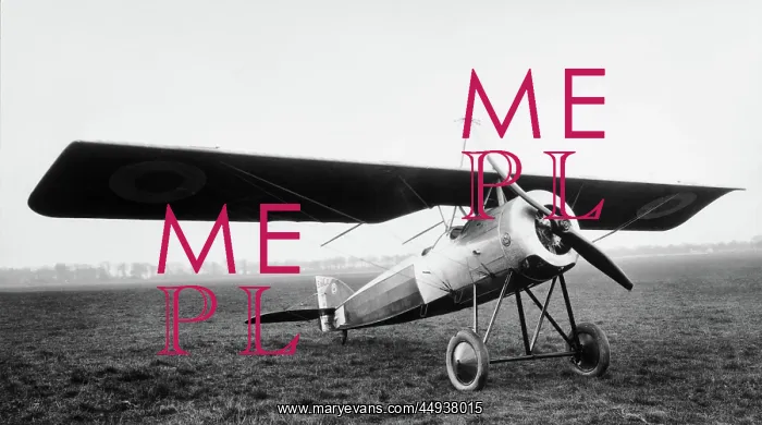  : Morane-Soulnier Ms-35Ep2 Parasol Parked