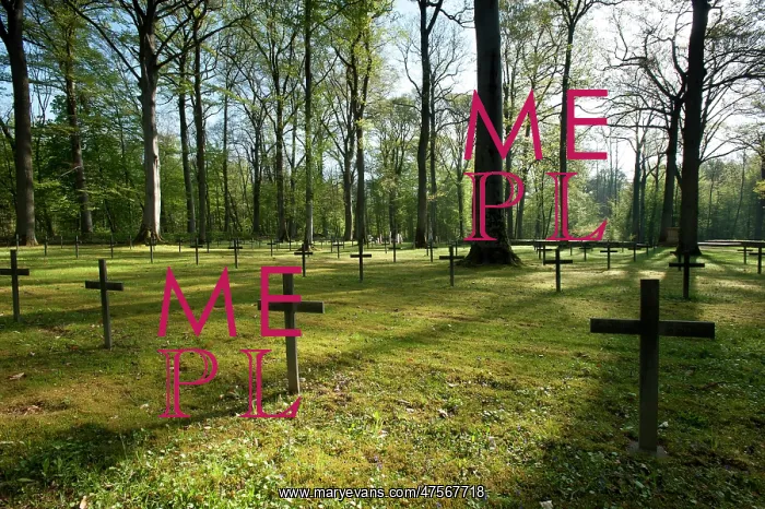 : Morhange German Cemetery : Morhange German Cemetery