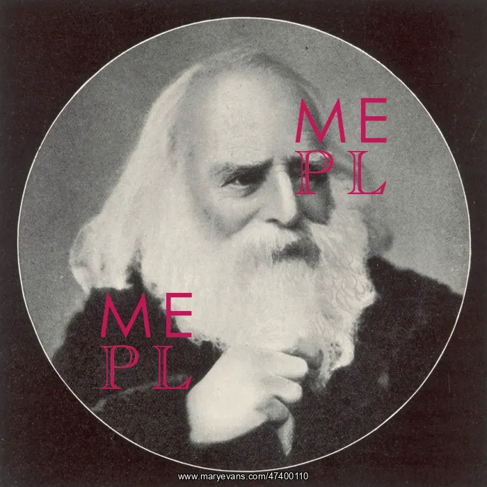  : MORITZ SCHIFF
