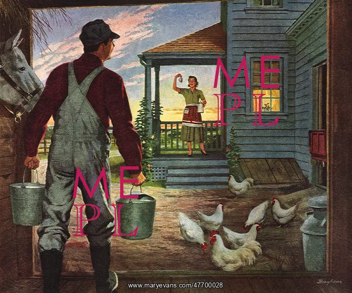 : Morning Milking : Morning Milking