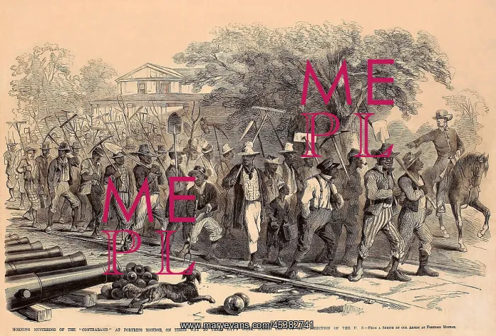 : Morning Mustering of the Contraband, on their : Morning Mustering of the Contraband, on their