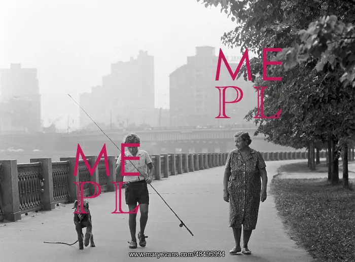 : Morning walk, 1981 : Morning walk, 1981