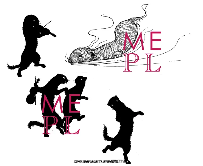 : One Morning a Weasel Came Swimming : One Morning a Weasel Came Swimming