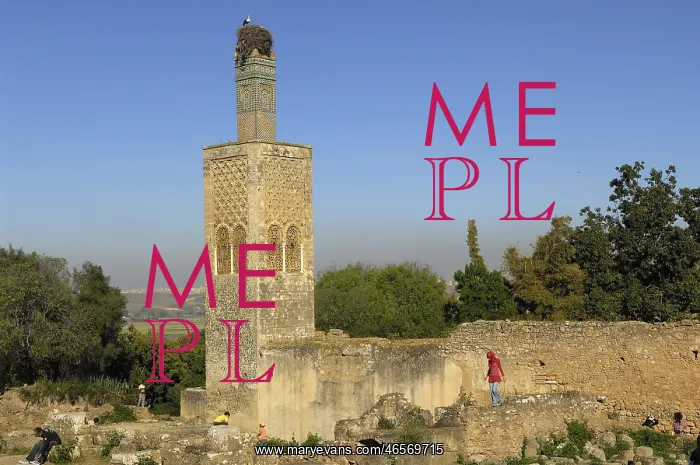  : MOROCCO. Rabat. Chellah Necropolis. Minaret in