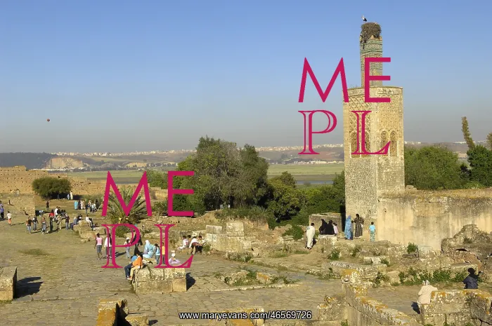  : MOROCCO. Rabat. Chellah Necropolis. Minaret in