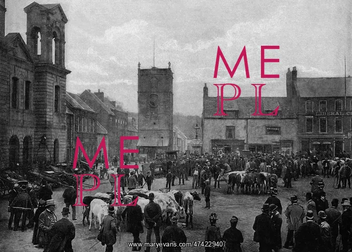  : Morpeth, Northumberland